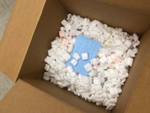 Auction Shipping Services